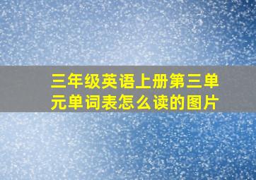 三年级英语上册第三单元单词表怎么读的图片