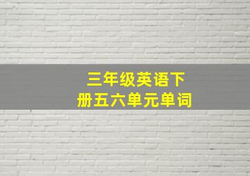 三年级英语下册五六单元单词