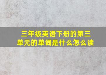 三年级英语下册的第三单元的单词是什么怎么读