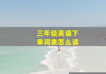 三年级英语下单词表怎么读