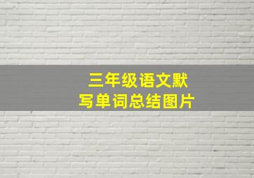 三年级语文默写单词总结图片