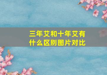 三年艾和十年艾有什么区别图片对比