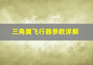 三角翼飞行器参数详解