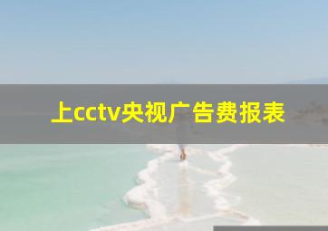 上cctv央视广告费报表