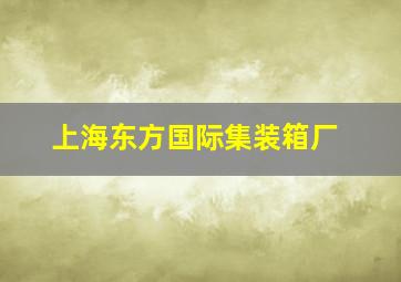 上海东方国际集装箱厂