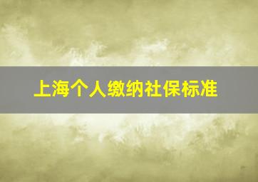 上海个人缴纳社保标准