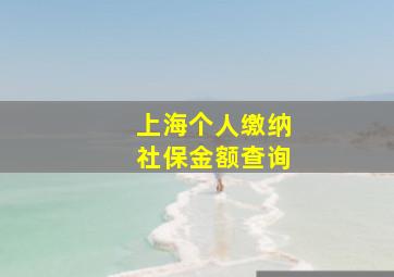 上海个人缴纳社保金额查询