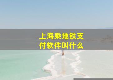 上海乘地铁支付软件叫什么