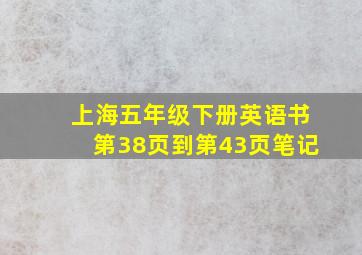 上海五年级下册英语书第38页到第43页笔记