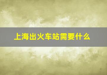 上海出火车站需要什么