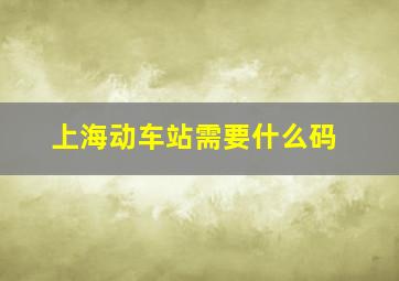 上海动车站需要什么码