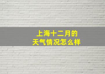 上海十二月的天气情况怎么样