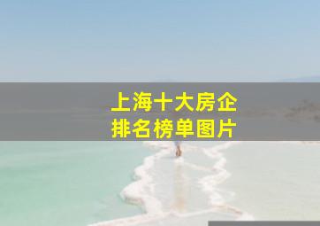 上海十大房企排名榜单图片