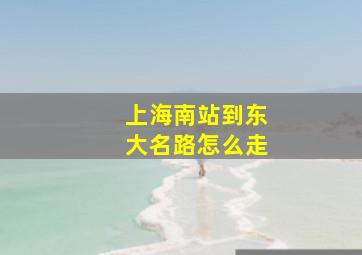 上海南站到东大名路怎么走