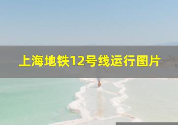 上海地铁12号线运行图片