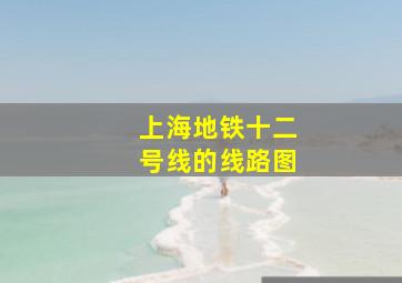 上海地铁十二号线的线路图