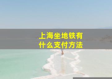 上海坐地铁有什么支付方法