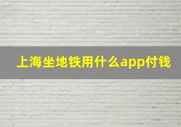 上海坐地铁用什么app付钱