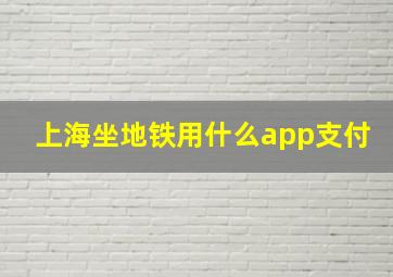 上海坐地铁用什么app支付