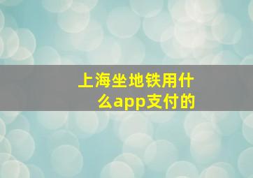 上海坐地铁用什么app支付的