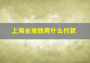 上海坐地铁用什么付款