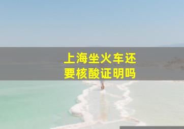 上海坐火车还要核酸证明吗