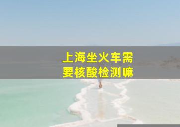 上海坐火车需要核酸检测嘛