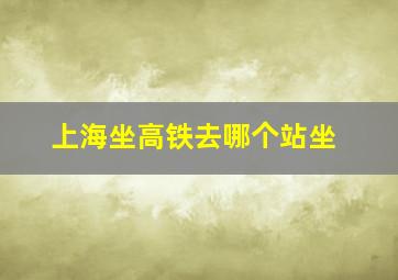 上海坐高铁去哪个站坐