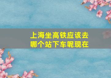 上海坐高铁应该去哪个站下车呢现在