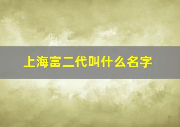 上海富二代叫什么名字