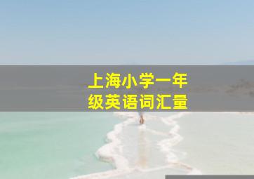 上海小学一年级英语词汇量