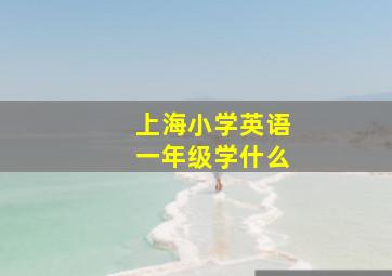 上海小学英语一年级学什么