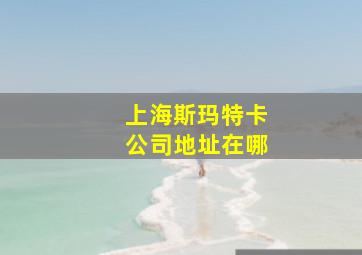 上海斯玛特卡公司地址在哪