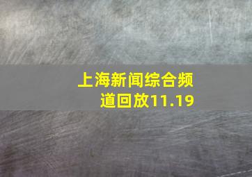 上海新闻综合频道回放11.19