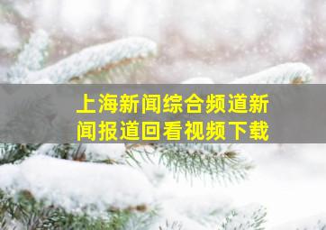 上海新闻综合频道新闻报道回看视频下载