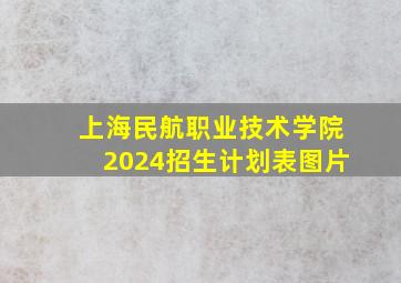 上海民航职业技术学院2024招生计划表图片