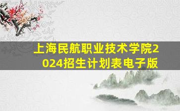 上海民航职业技术学院2024招生计划表电子版