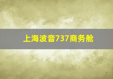 上海波音737商务舱