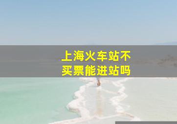 上海火车站不买票能进站吗