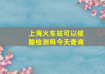 上海火车站可以核酸检测吗今天查询