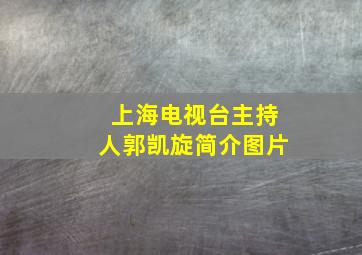 上海电视台主持人郭凯旋简介图片