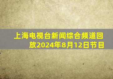 上海电视台新闻综合频道回放2024年8月12日节目