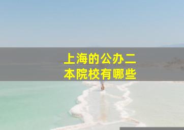 上海的公办二本院校有哪些