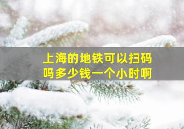 上海的地铁可以扫码吗多少钱一个小时啊