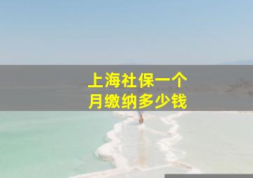 上海社保一个月缴纳多少钱