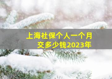 上海社保个人一个月交多少钱2023年