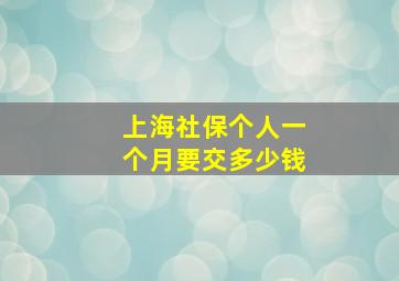 上海社保个人一个月要交多少钱