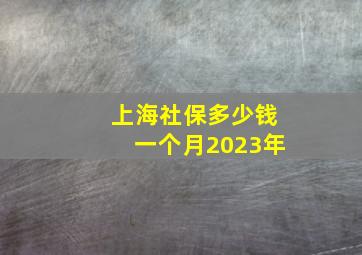 上海社保多少钱一个月2023年