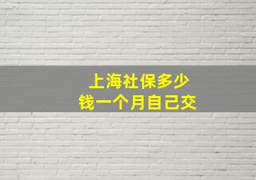 上海社保多少钱一个月自己交