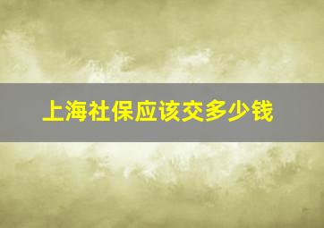 上海社保应该交多少钱